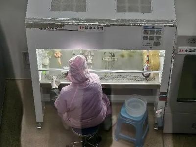 機(jī)械化助力食用菌產(chǎn)業(yè)化生產(chǎn) 為鄉(xiāng)村振興撐開(kāi)“致富傘”