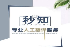 從無到有,秒知教育培訓人工翻譯服務的發展歷程
